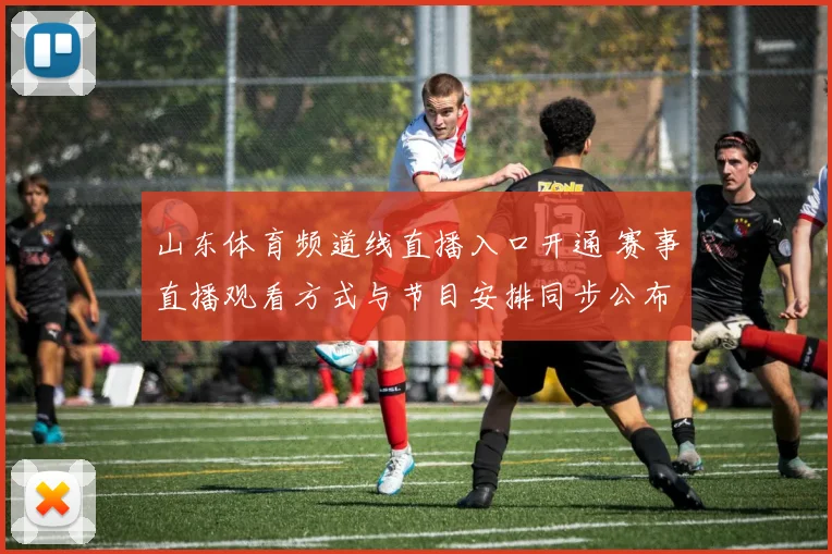 山东体育频道线直播入口开通 赛事直播观看方式与节目安排同步公布
